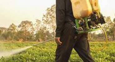 Herbicid koji izaziva rak i u BiH prisutan, traže se mjere