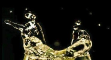 Katarina Zovko Ištuk