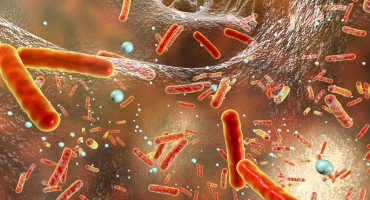 Superbakterija otporna na sve poznate antibiotike širi se bolnicama