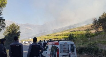 Razbuktao se požar na Pelješcu: Vatra je došla do naselja i dva kampa, evakuirano 40 ljudi!