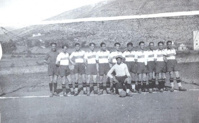 HŠK Zrinjski, povijest, pogled u prošlost, Stadion HŠK Zrinjski, Plemići