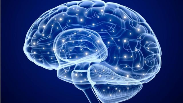 Mozak žena četiri godine mlađi od mozga muškaraca
