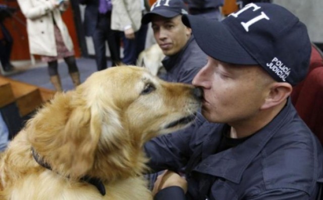 Policijski psi ispraćeni u mirovinu uz medalje, diplome i puno emocija