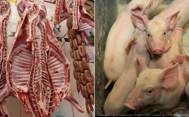 Sve više svinja zaraženo trihinelom, najveći problem ima jedan veliki proizvođač