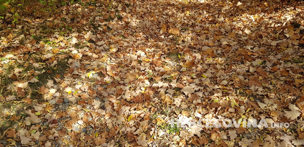 Boje Hercegovine: Jesen u mom sokaku