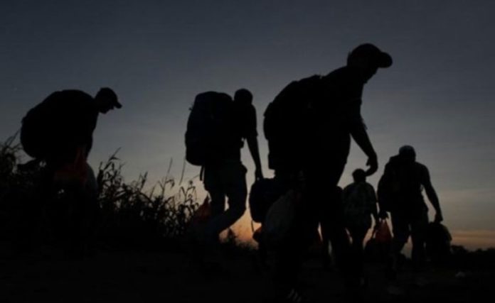 Čapljina: Otkrivena dva migranta u teretnom vozilu