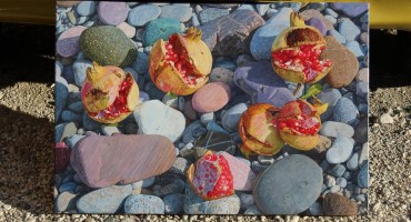 Marin Topić : Raspukli šipci i oblutci