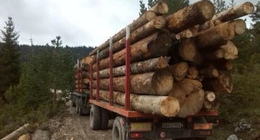ŠGD 'Hercegbosanske šume' ostvarile najbolji rezultat