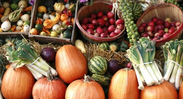 Hrana za kožu koju već sada trebate jesti kako biste zimu prošli bez gripe