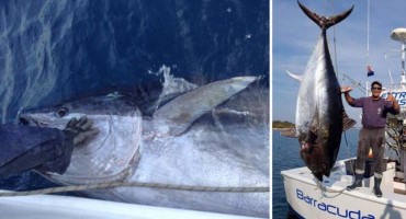 U Jadranu ulovio tunu od nevjerojatnih 317 kilograma