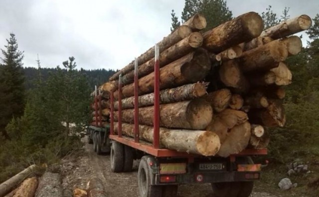 ŠGD 'Hercegbosanske šume' ostvarile najbolji rezultat