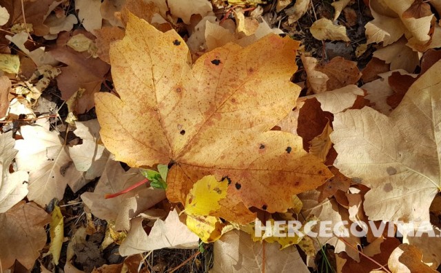 Sutra kalendarski počinje jesen