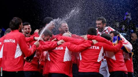 Anita Brajković: Davis cup