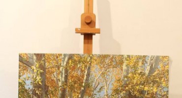 Marin Topić: Mostarski platani