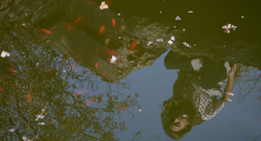 ribice hum, Mostar, zlatne ribice