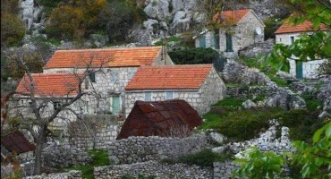 Katarina Zovko Ištuk