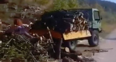 Snimka iskrcavanja drva iz Dalmacije postala hit: Aj ti brže istovari