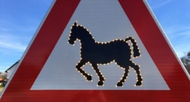 Postavljena svjetlosna signalizacija koja upozorava na divlje konje