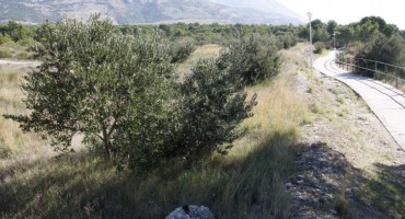 Fra Šime i njegova fatalna bankarica postali nacionalne zvijezde