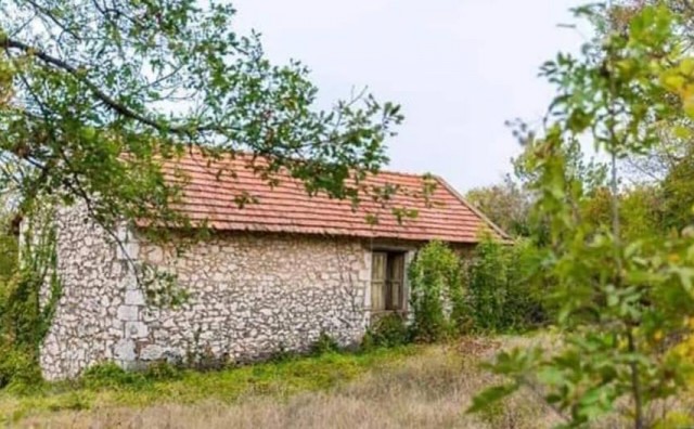 Katarina Zovko Ištuk