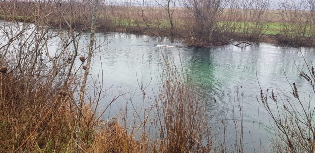 U Pologu pronađeno beživotno tijelo nestale ženske osobe