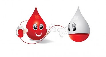 Mostar: Kapljica na dar = život.