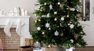Kako u pet sekundi znati kupujete li svježe božićno drvce?