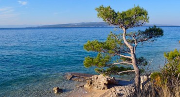 U dva do tri tjedna godišnjeg odmora ne možete se odmoriti, evo i zašto