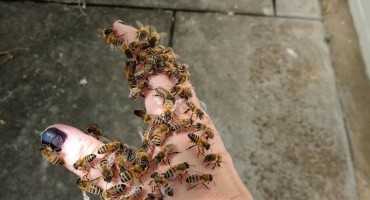 Ovo su najčudnije stvari koje se rade za ljepotu i zdravlje