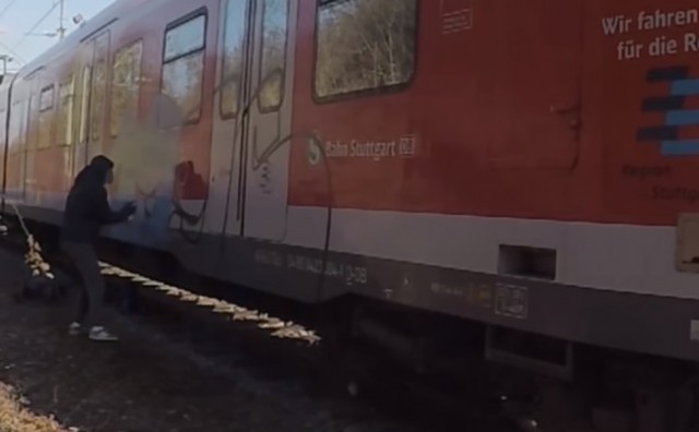 škripari u njemačkoj