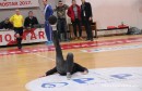 Samir Salčin, HFC Zrinjski, Futsal akademija HFC Zrinjski