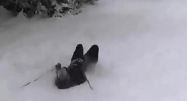 dalmatinac, skijanje