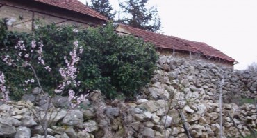 Katarina Zovko Ištuk