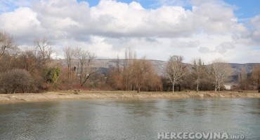 Bunica