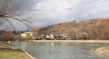 Bunica