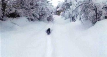 Obitelj morala angažirati bager da očisti snijeg radi pokopa