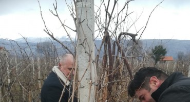 Održana kulturna manifestacija VINCEKOVO Buna 2019“