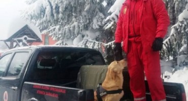 Pas Šmeki pronašao tragove nestalog mladića u Ponijerima