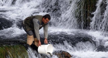 Riba iz BiH na tržištu EU: Vodeći proizvod animalnoga podrijetla