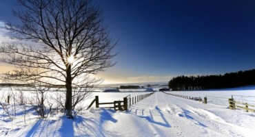 Evo po čemu su posebne osobe rođene u siječnju