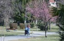 proljeće, Mostarsko proljeće, Mostar