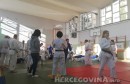 judo seminar