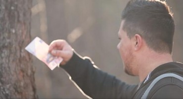 U Njemačkoj  beru eure sa drveća