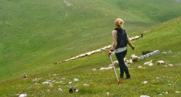 Priča iz Hercegovine: Čobanice