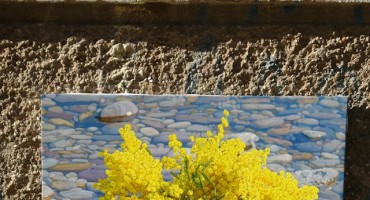 Marin Topić: Mimoze u Neretvi