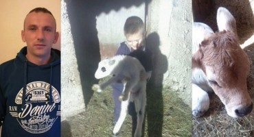 Stipe Arambašić izgradnju vjetroparkova po Njemačkoj zamijenio farmom u Hercegovini