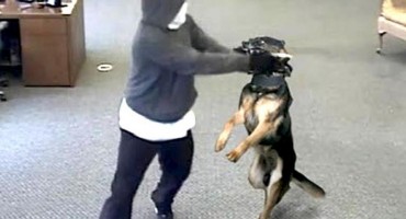 Policija psima 'smirivala' bh. državljanina