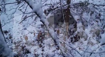 Sklonište gdje se krio Edin Gačić