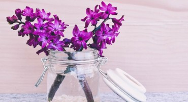  Znate li kakva treba biti voda za zalijevanje cvijeća 