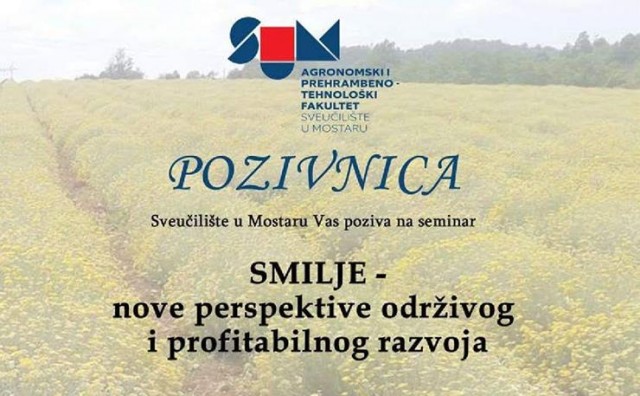 smilje, hercegovačko smilje
